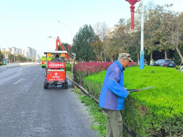 园林中心精修细剪守护城市“秋冬绿”